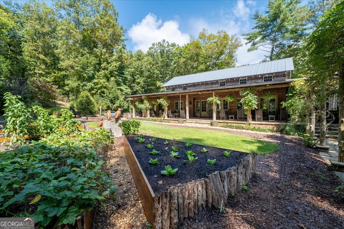 Lot 1 Chief Whitetails Road Ellijay, GA 30540 - Photo 61 of 63