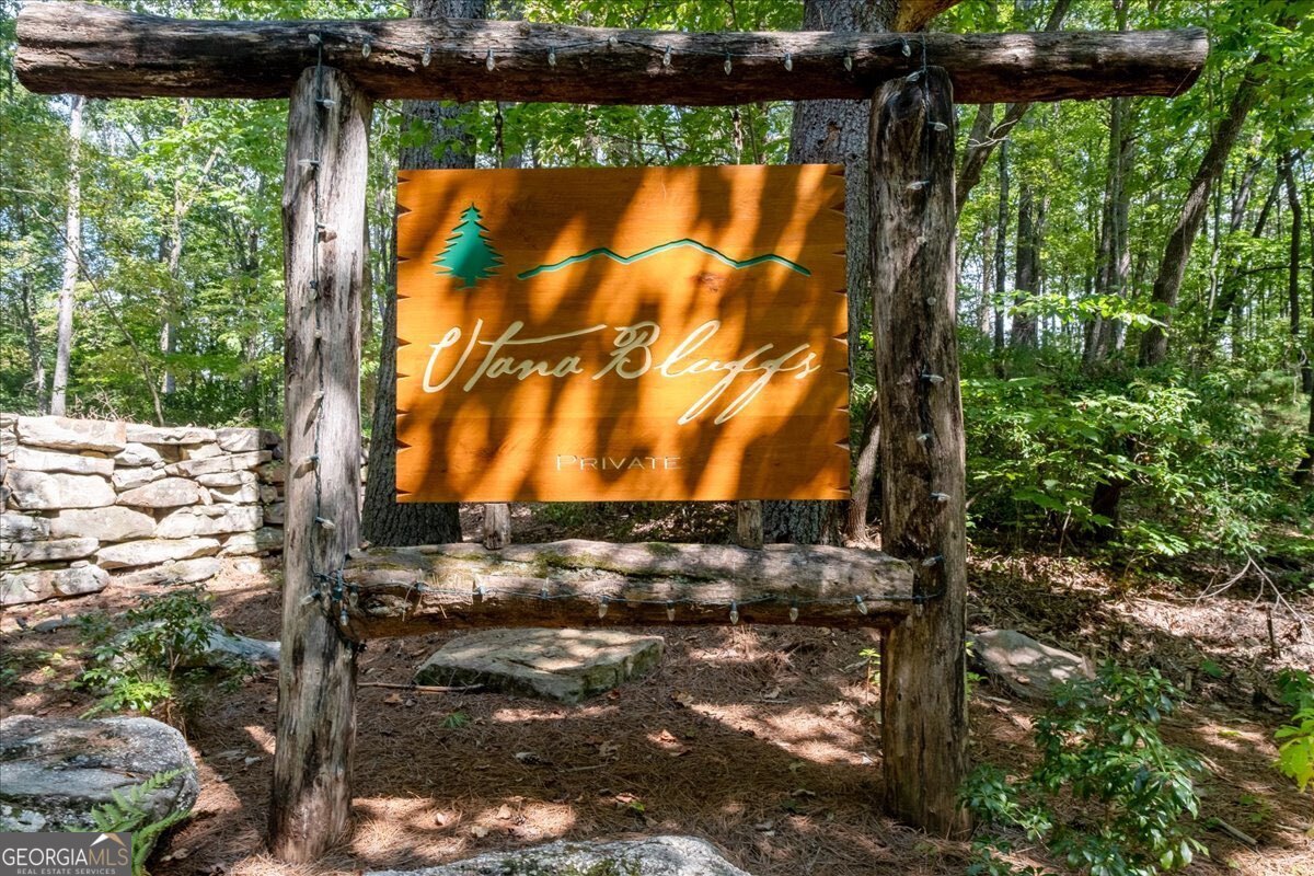 Lot 1 Chief Whitetails Road Ellijay, GA 30540 - Photo 63 of 63