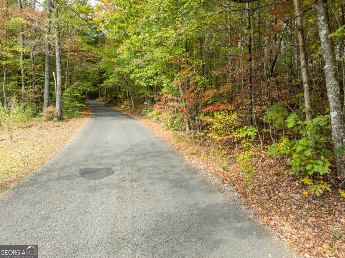 Lot 1 Chief Whitetails Road Ellijay, GA 30540 - Photo 8 of 63