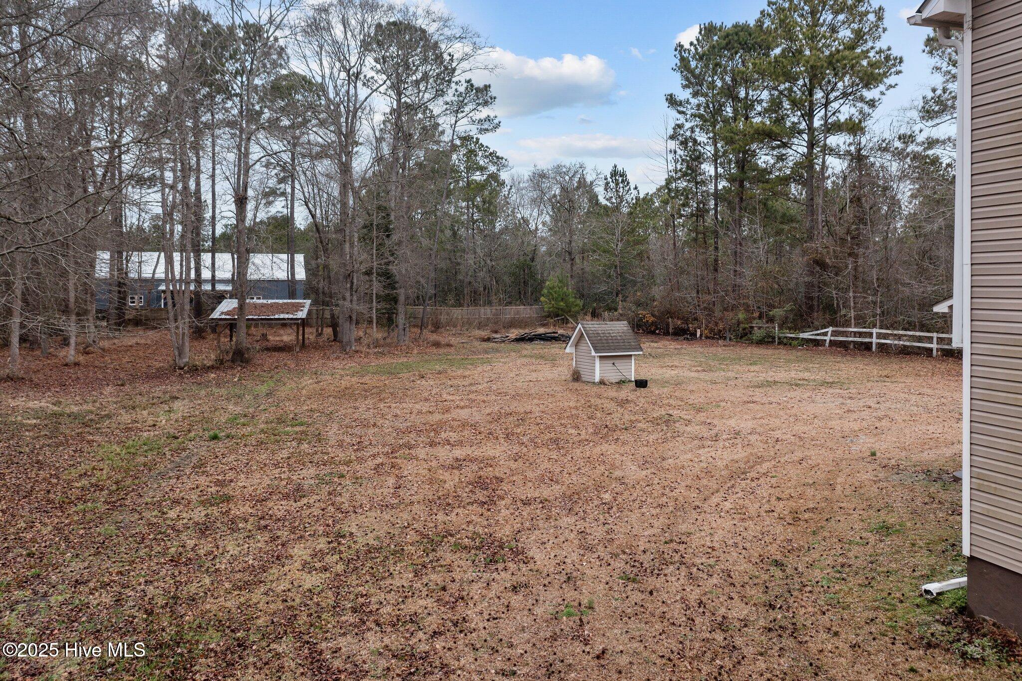 470 Haw Branch Road Richlands, NC 28574 - Photo 42 of 55 Back yard