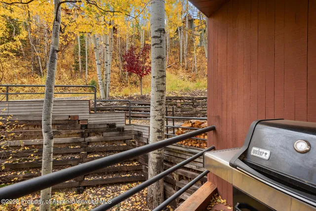 $50,000 | 431 Edgewood Lane, Snowmass Village, CO 81615