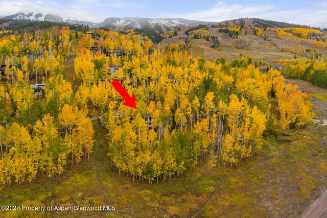 $50,000 | 431 Edgewood Lane, Snowmass Village, CO 81615