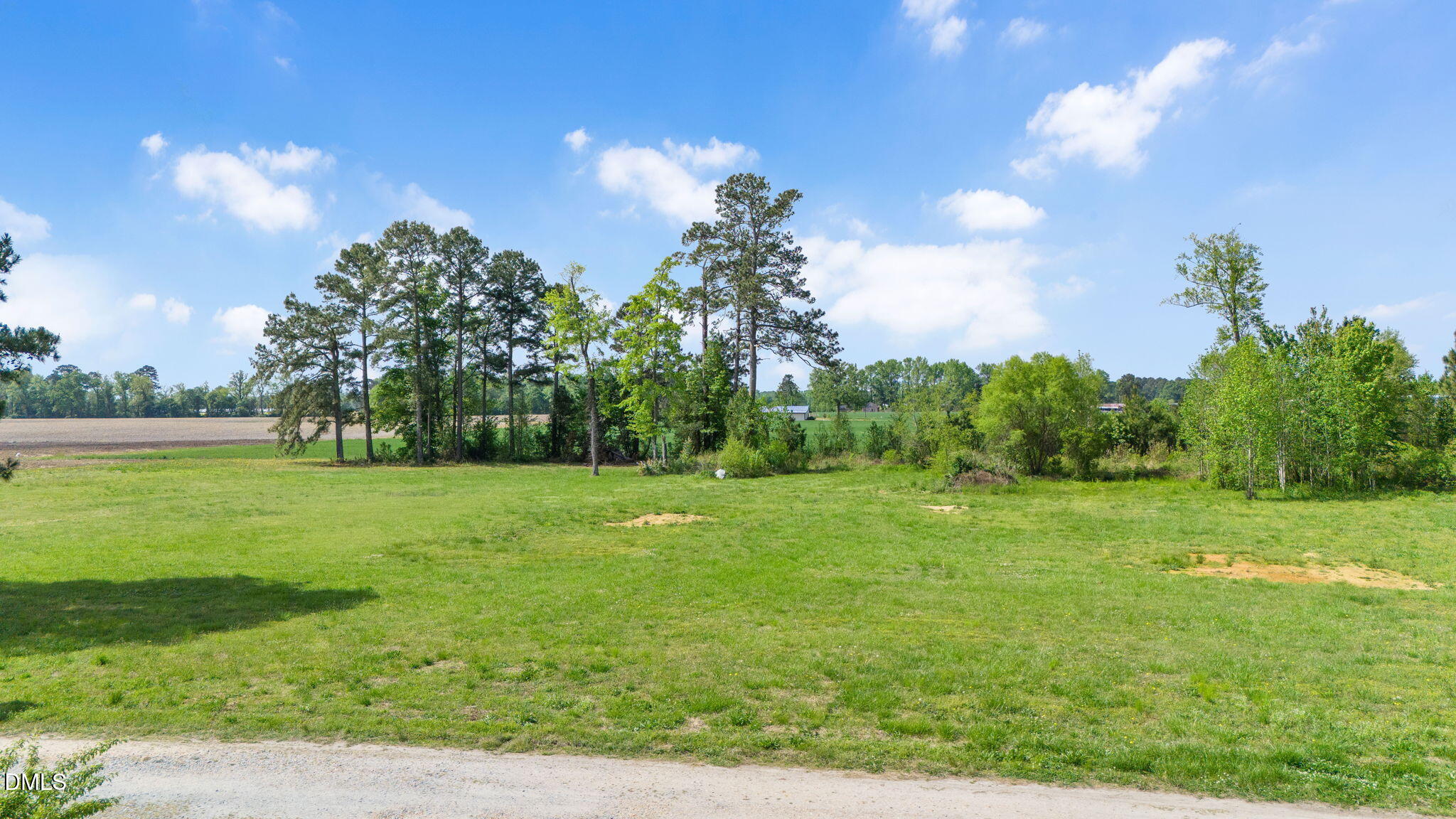 2115 Woods Crossroads Road Benson, NC 27504 - Photo 5 of 6 a view of field with trees in the background