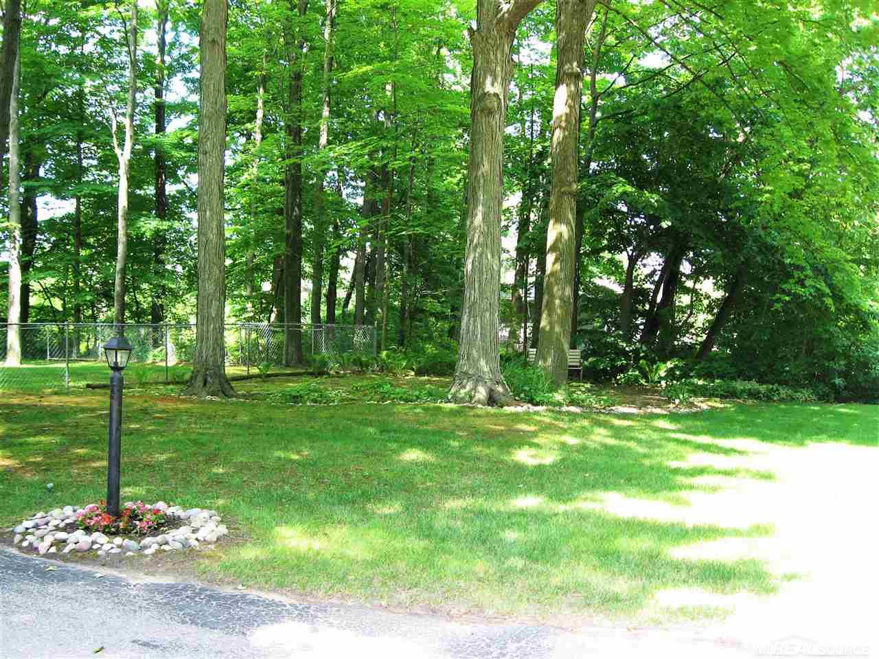 7323 Woodbine Road Lexington, MI 48450 - Photo 48 of 61 Summer Shade