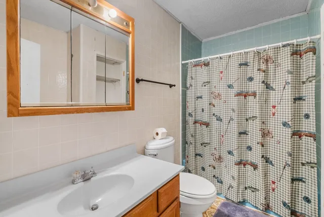 a bathroom with a sink and a toilet