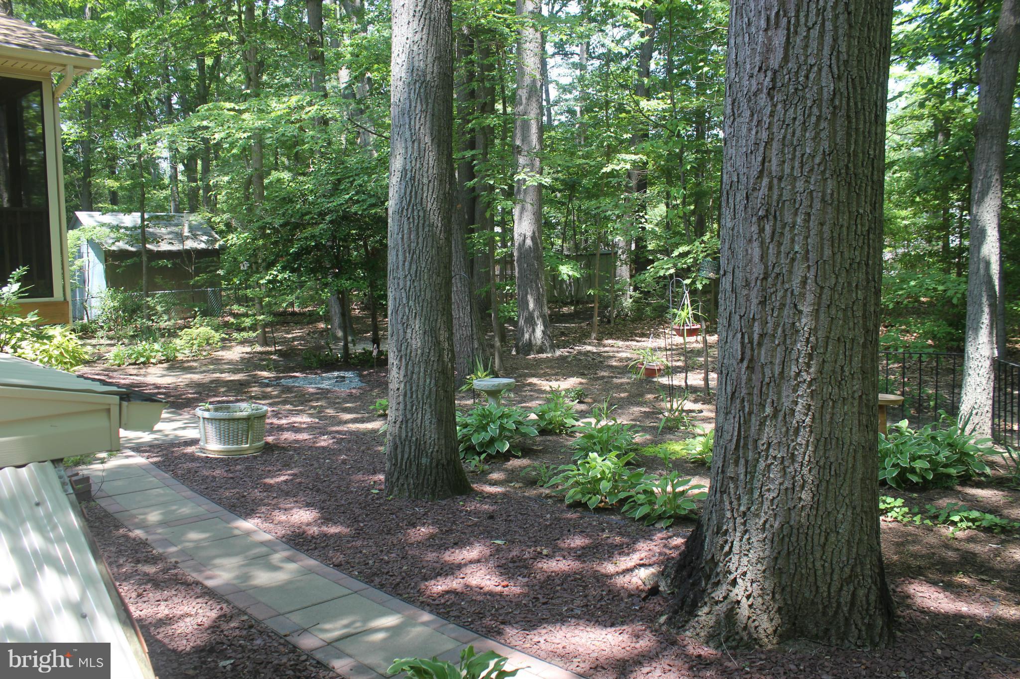 828 Dividing Road Severna Park, MD 21146 - Photo 19 of 30 Backs to lush wooded area