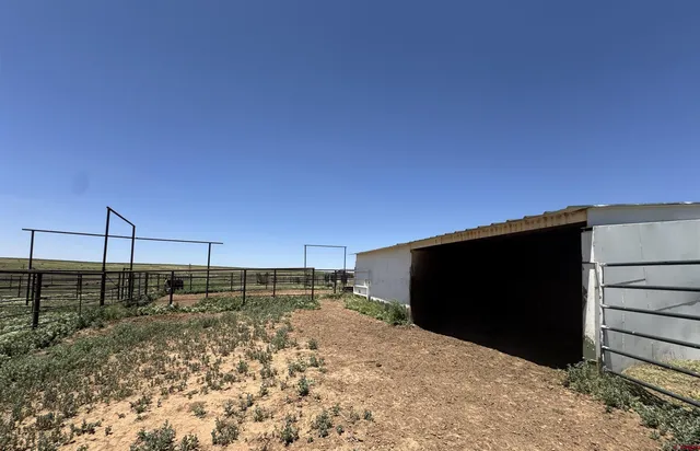 a view of a back yard