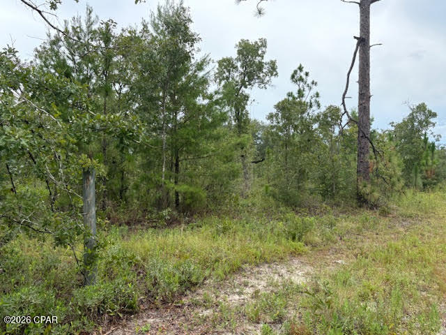 4539 Northwest White Road Altha, FL 32421 - Photo 45 of 82