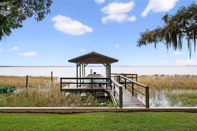 a view of a park with a tree