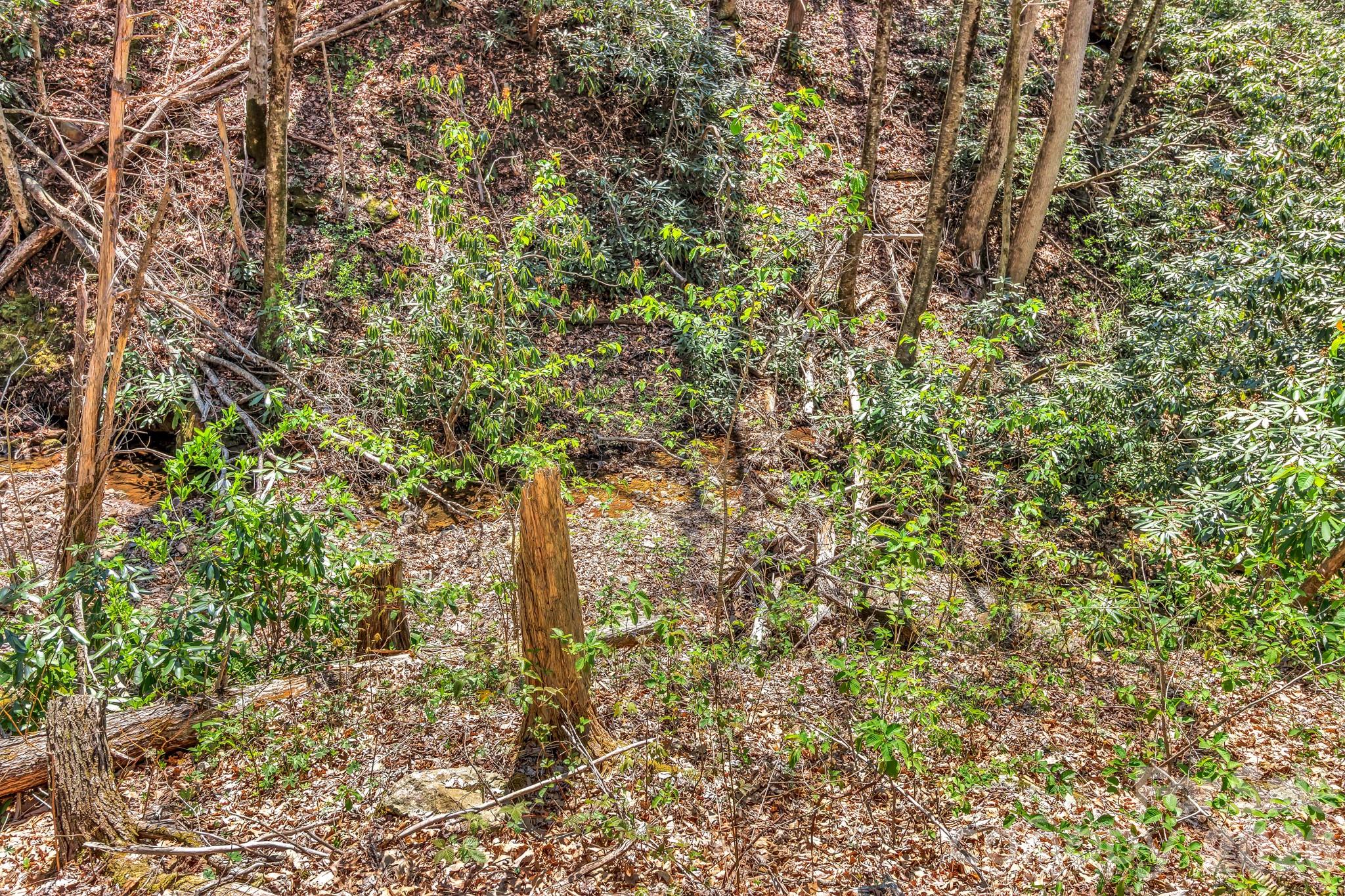 1100 Panther Branch Road Canton, NC 28716 - Photo 13 of 40
