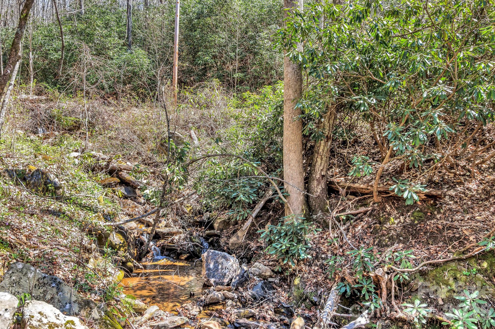 1100 Panther Branch Road Canton, NC 28716 - Photo 14 of 40