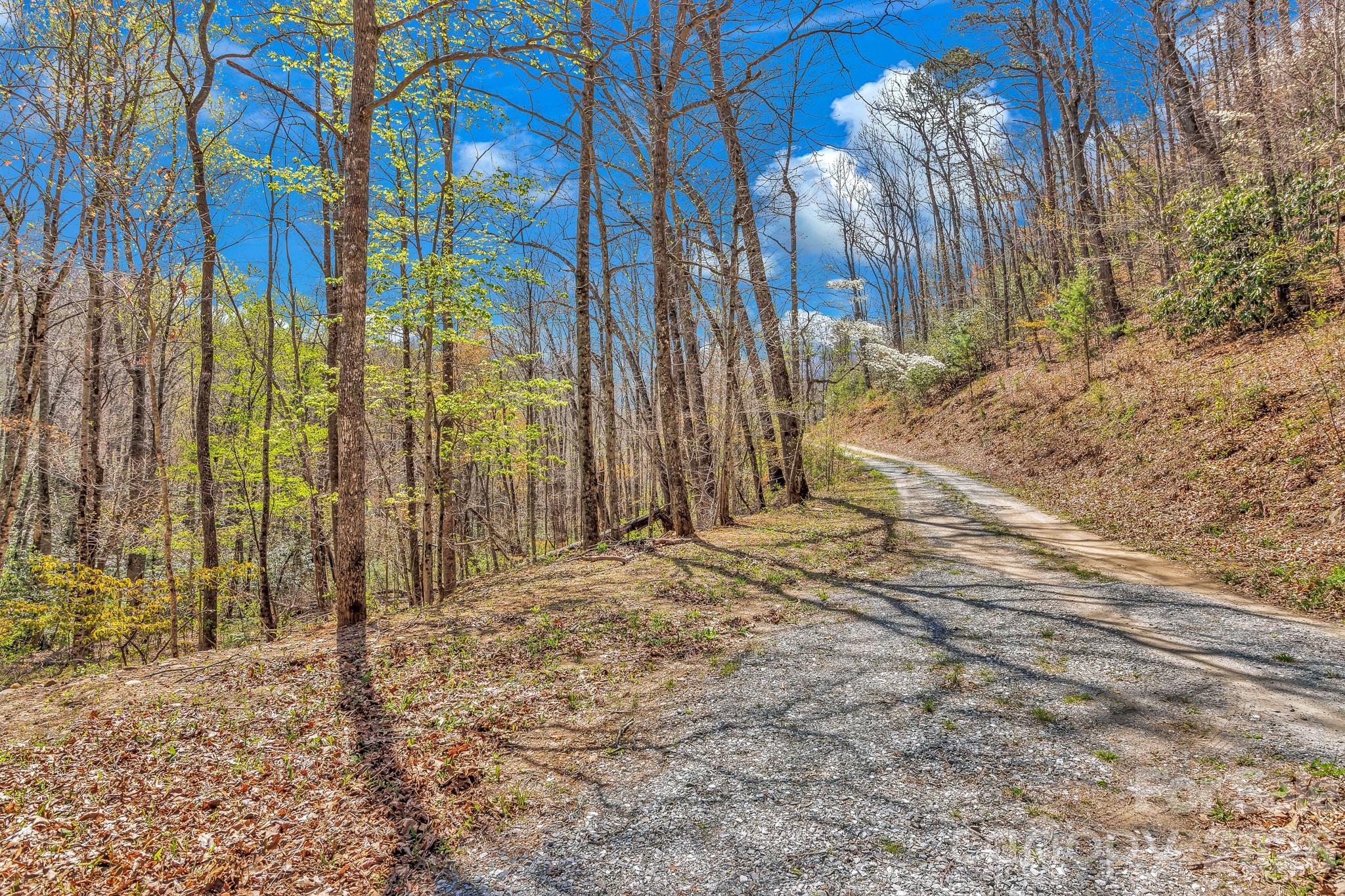 1100 Panther Branch Road Canton, NC 28716 - Photo 19 of 40