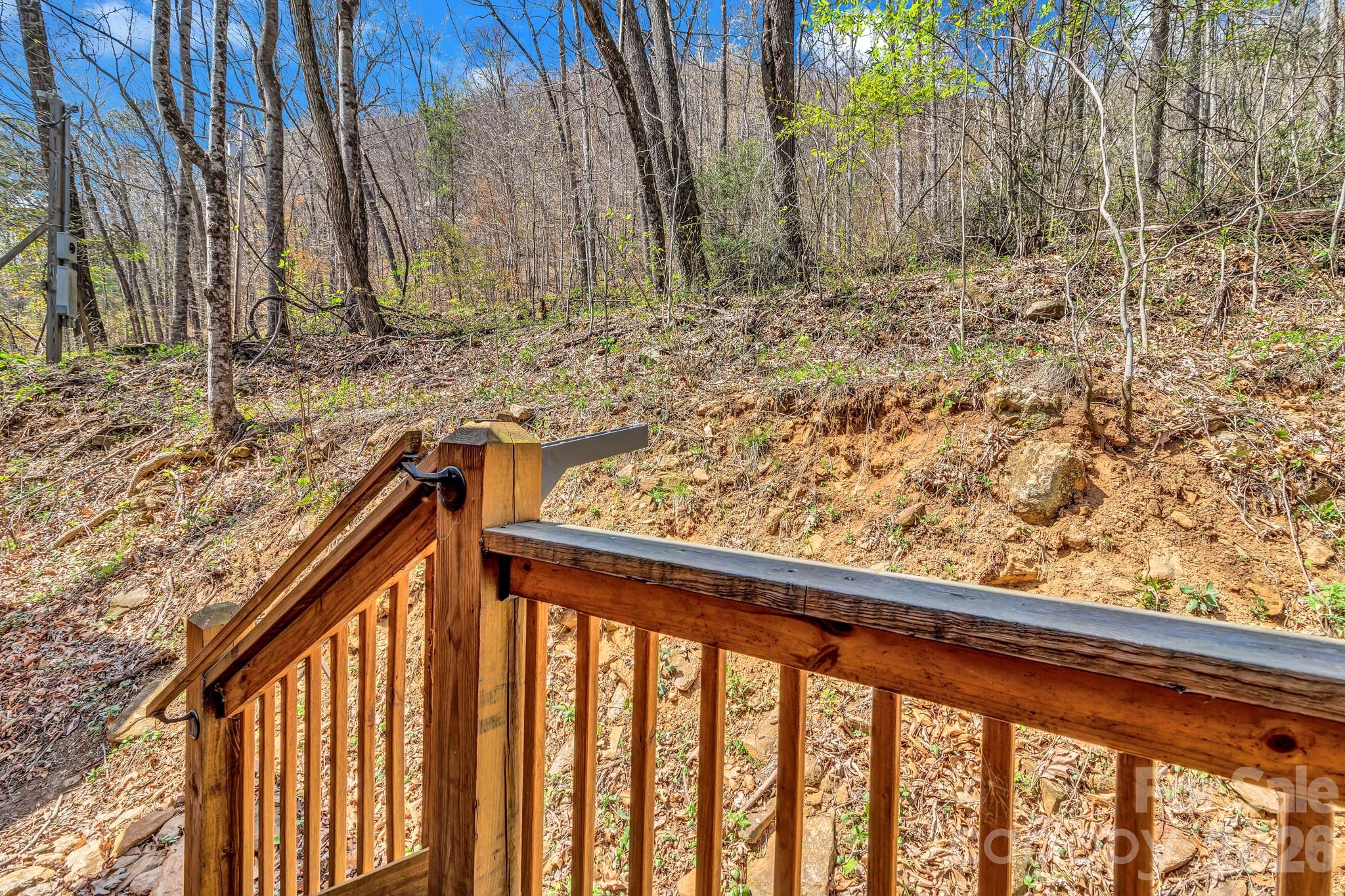 1100 Panther Branch Road Canton, NC 28716 - Photo 32 of 40