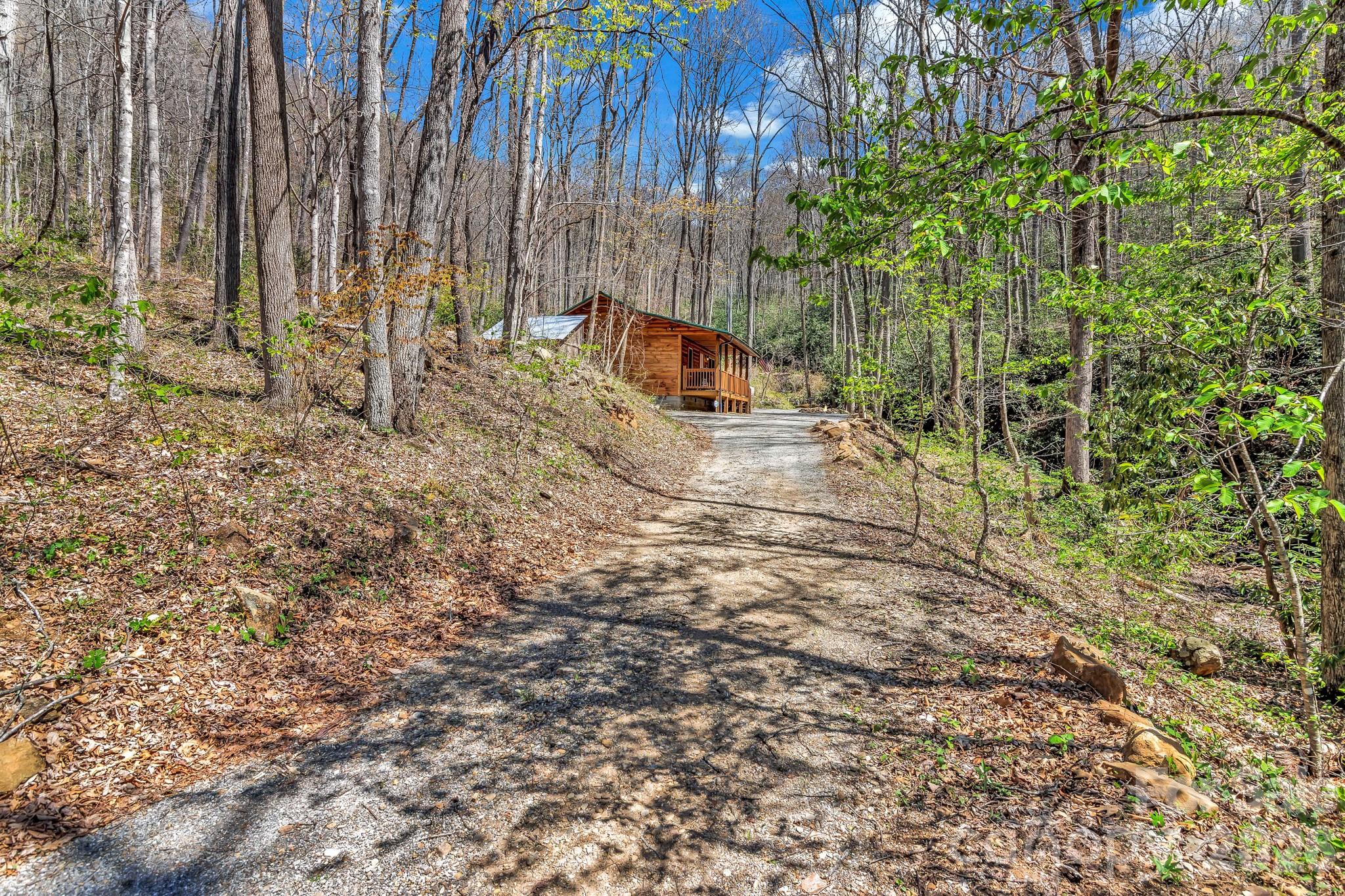 1100 Panther Branch Road Canton, NC 28716 - Photo 6 of 40