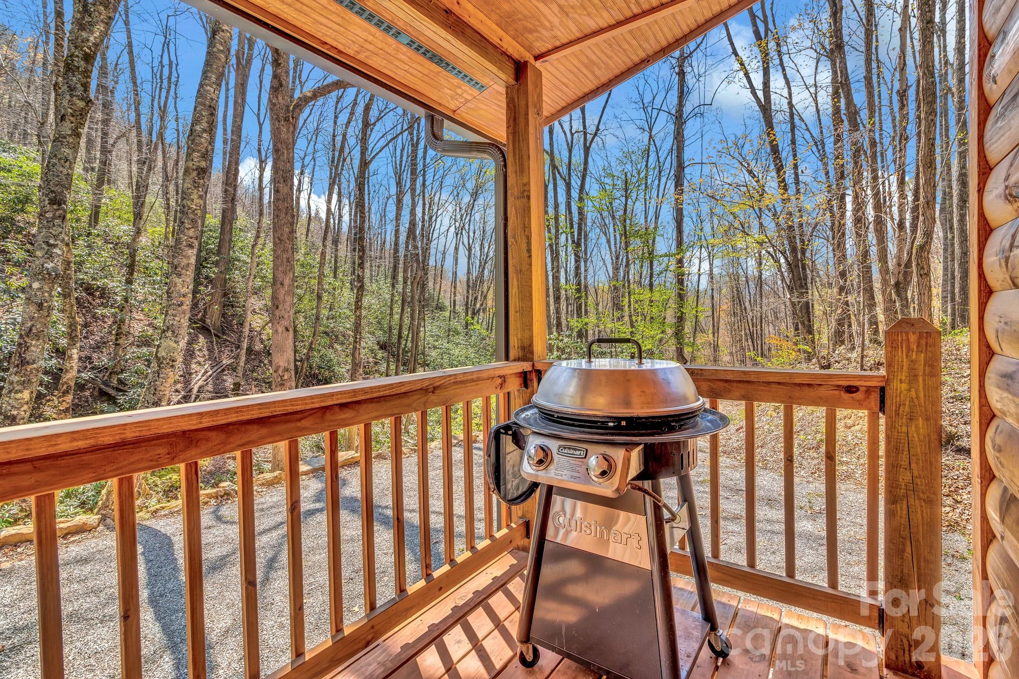 1100 Panther Branch Road Canton, NC 28716 - Photo 10 of 40