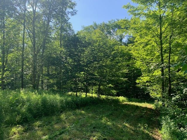 95 Jenne Road Hartland, VT 05089 - Photo 12 of 19