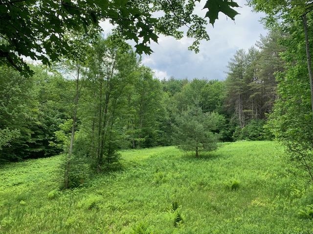 95 Jenne Road Hartland, VT 05089 - Photo 13 of 19