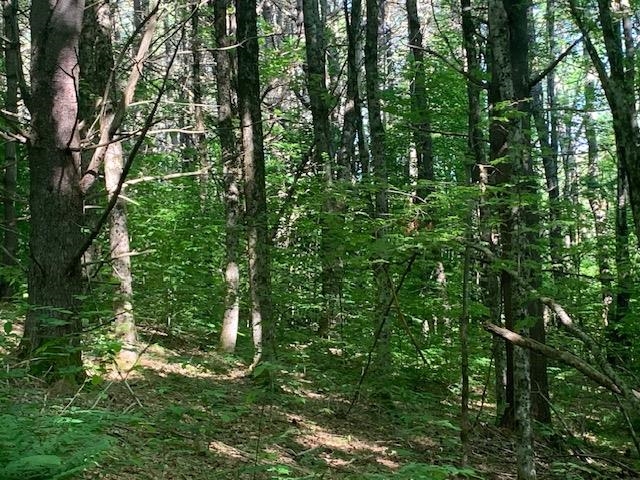 95 Jenne Road Hartland, VT 05089 - Photo 14 of 19