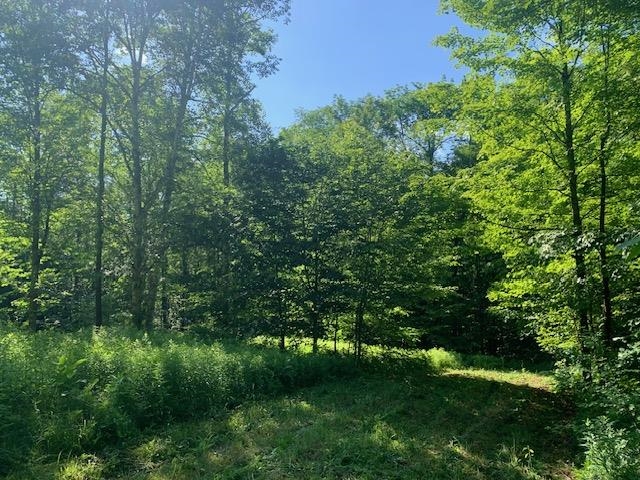 95 Jenne Road Hartland, VT 05089 - Photo 15 of 19