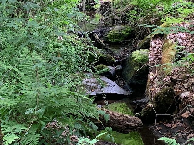 95 Jenne Road Hartland, VT 05089 - Photo 16 of 19