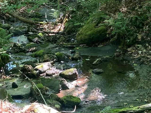 $275,000 | 95 Jenne Road, Hartland, VT 05089