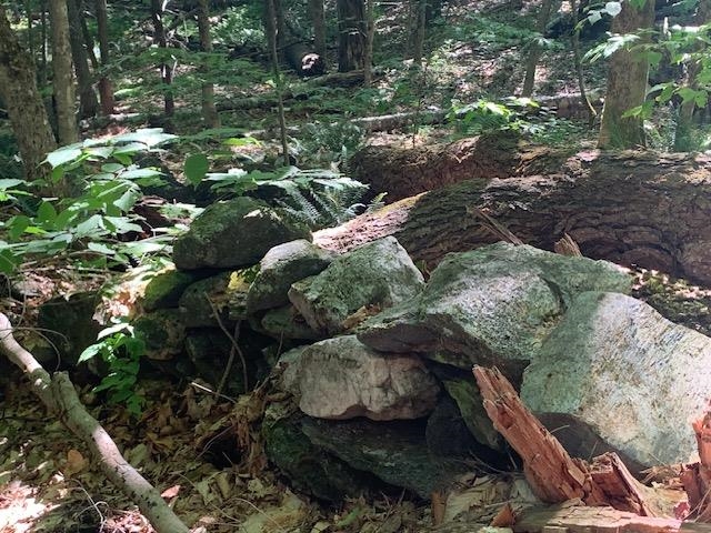 95 Jenne Road Hartland, VT 05089 - Photo 18 of 19