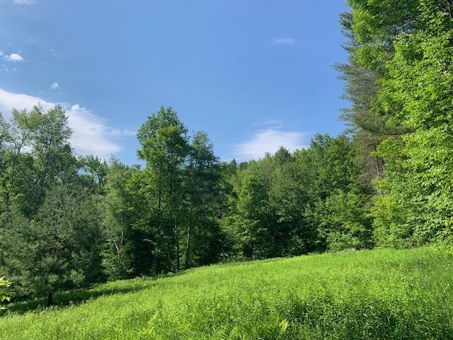 95 Jenne Road Hartland, VT 05089 - Photo 3 of 19