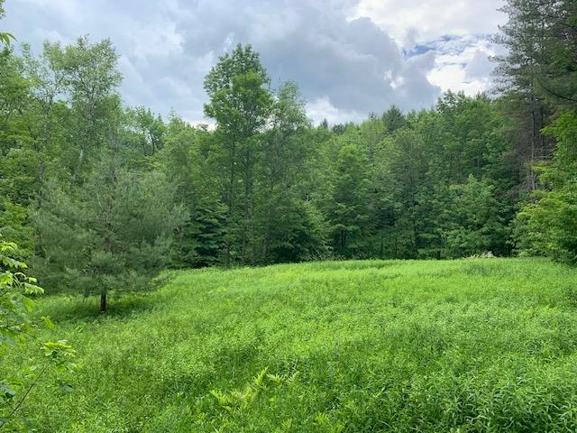 95 Jenne Road Hartland, VT 05089 - Photo 4 of 19