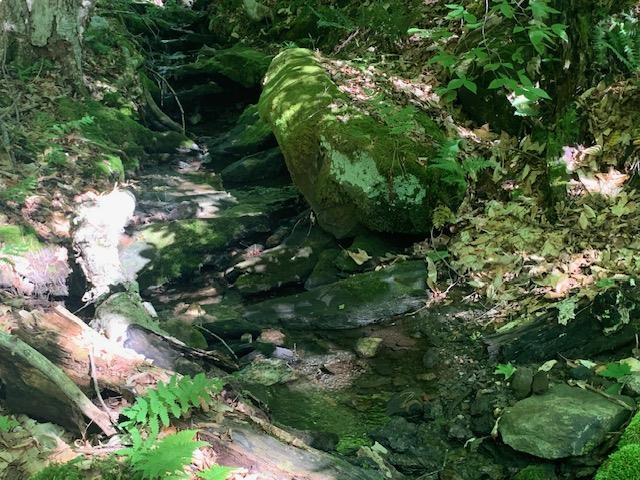 95 Jenne Road Hartland, VT 05089 - Photo 5 of 19