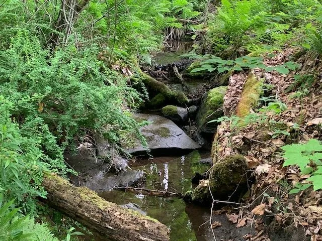 $275,000 | 95 Jenne Road, Hartland, VT 05089