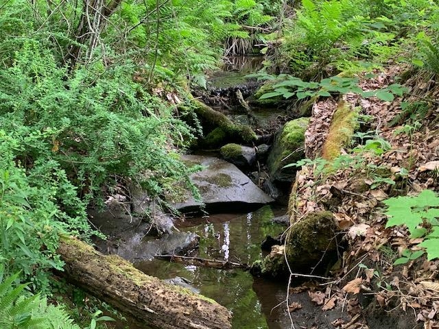 95 Jenne Road Hartland, VT 05089 - Photo 6 of 19