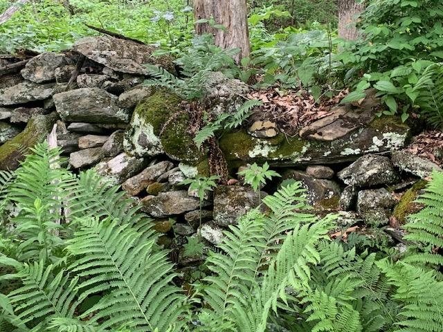 95 Jenne Road Hartland, VT 05089 - Photo 7 of 19
