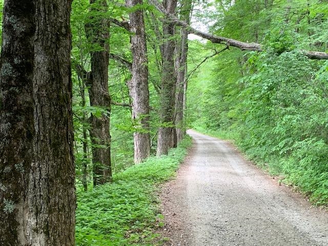 95 Jenne Road Hartland, VT 05089 - Photo 8 of 19