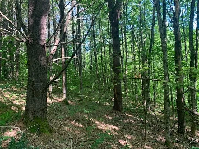 $275,000 | 95 Jenne Road, Hartland, VT 05089