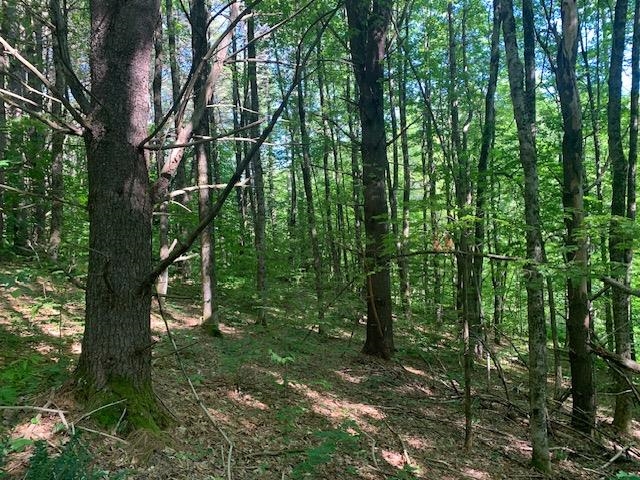 95 Jenne Road Hartland, VT 05089 - Photo 9 of 19