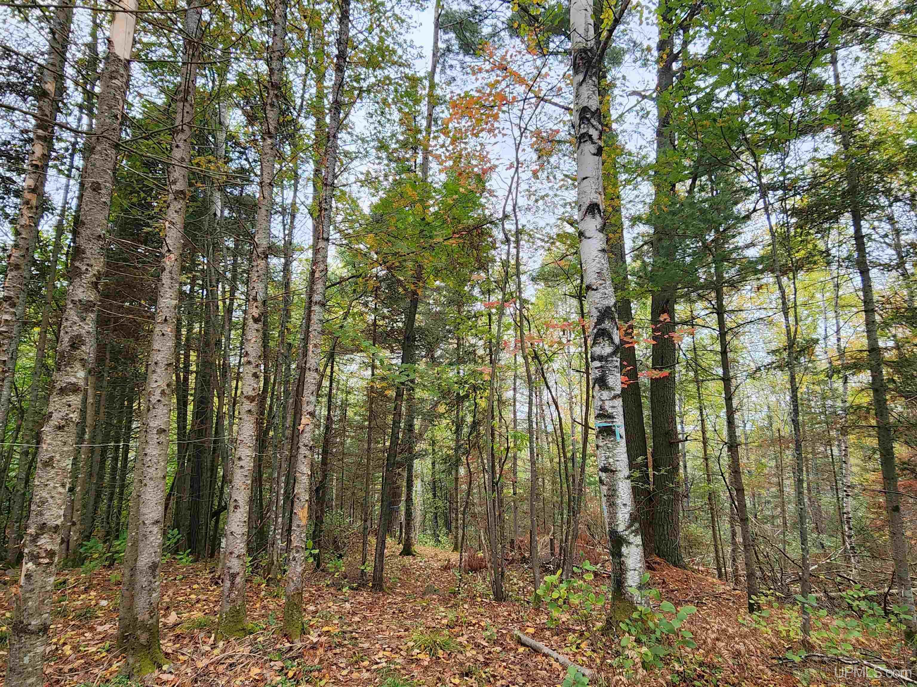 1040 River Ridge Drive Ishpeming, MI 49849 - Photo 11 of 21 Gallery Image 11