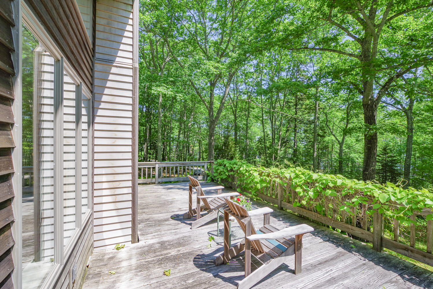 619 Shore Road Northport, ME 04849 - Photo 4 of 10 619 Shore Road