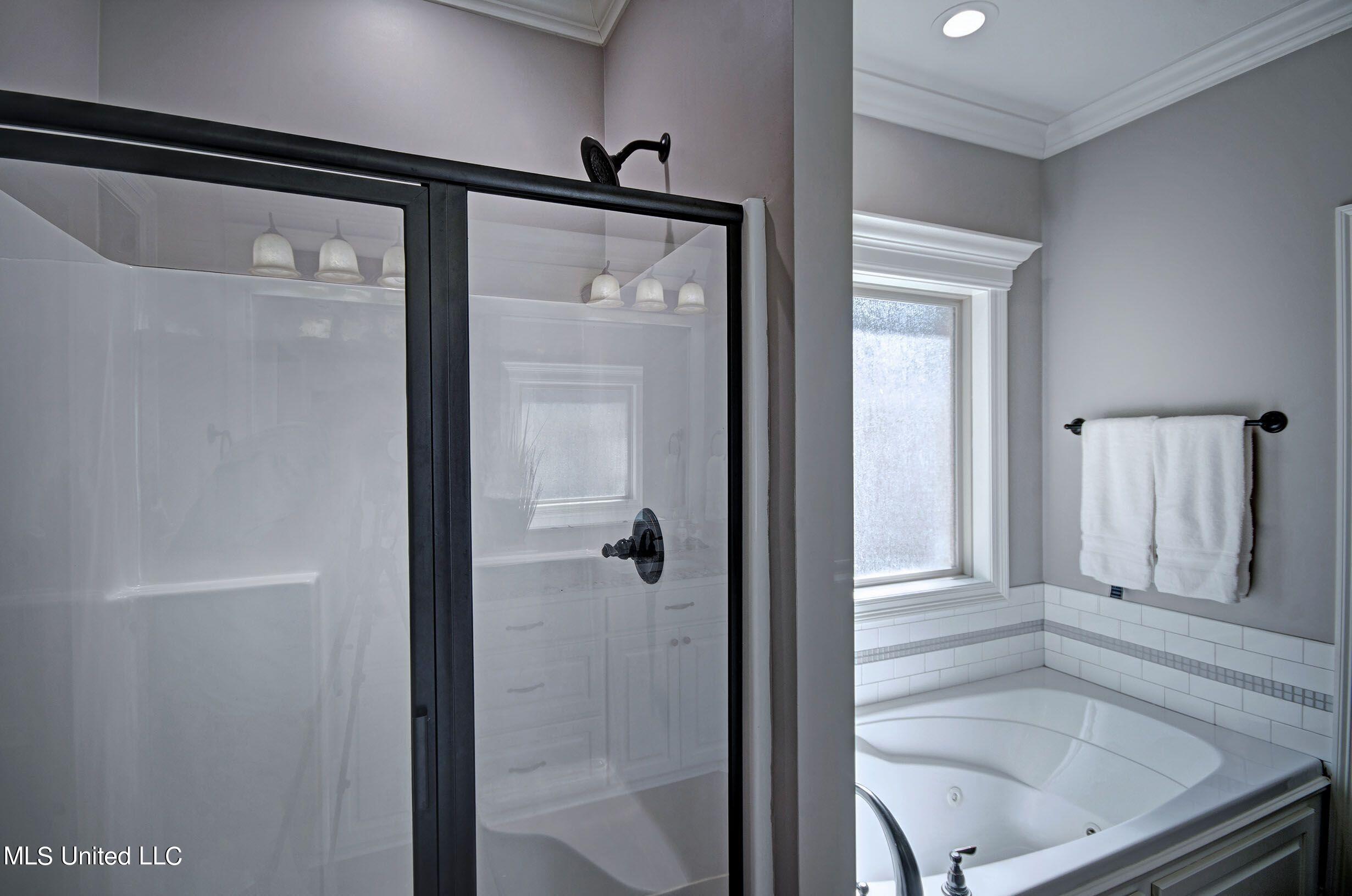 148 Provonce Park Brandon, MS 39042 - Photo 12 of 20 148 Provonce Main Bath 2