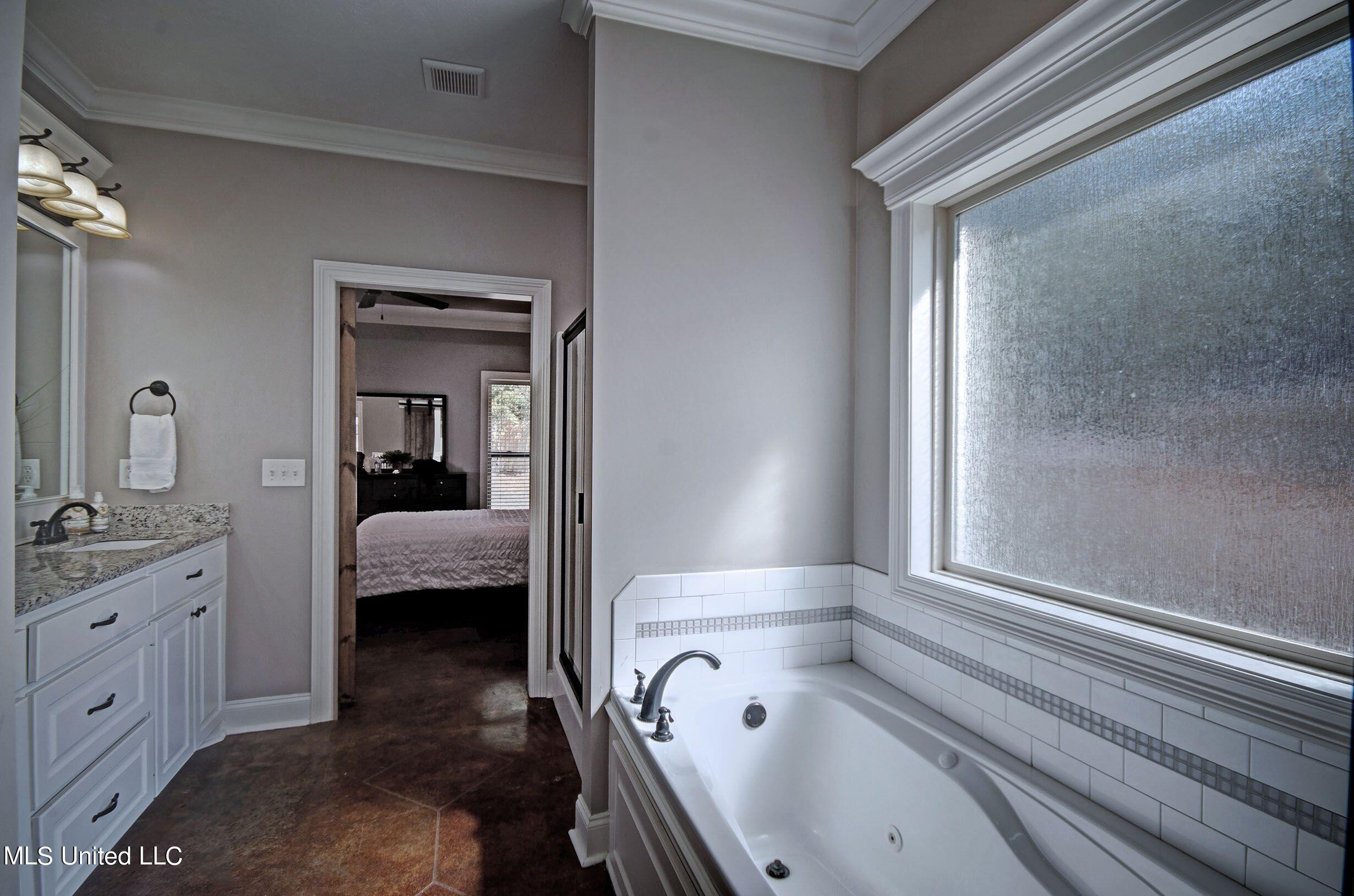148 Provonce Park Brandon, MS 39042 - Photo 13 of 20 148 Provonce Main Bath 3