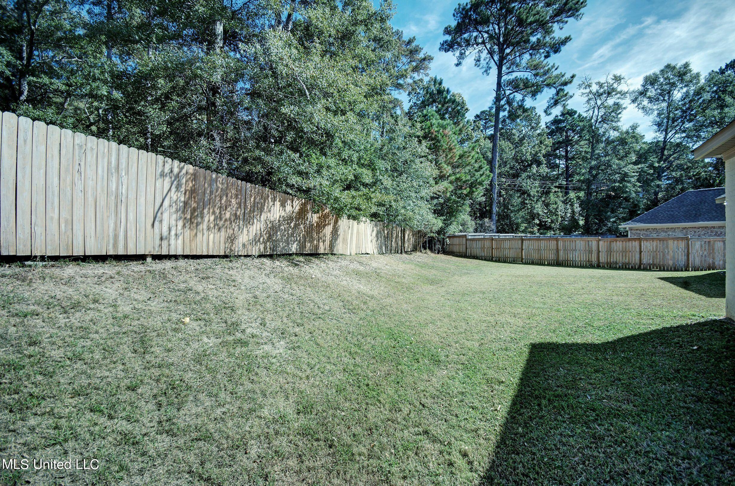 148 Provonce Park Brandon, MS 39042 - Photo 18 of 20 148 Provonce Park back 2