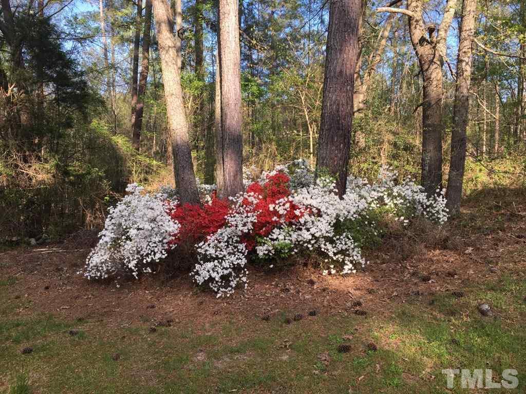 4904 Mitchell Mill Road Wake Forest, NC 27587 - Photo 25 of 25