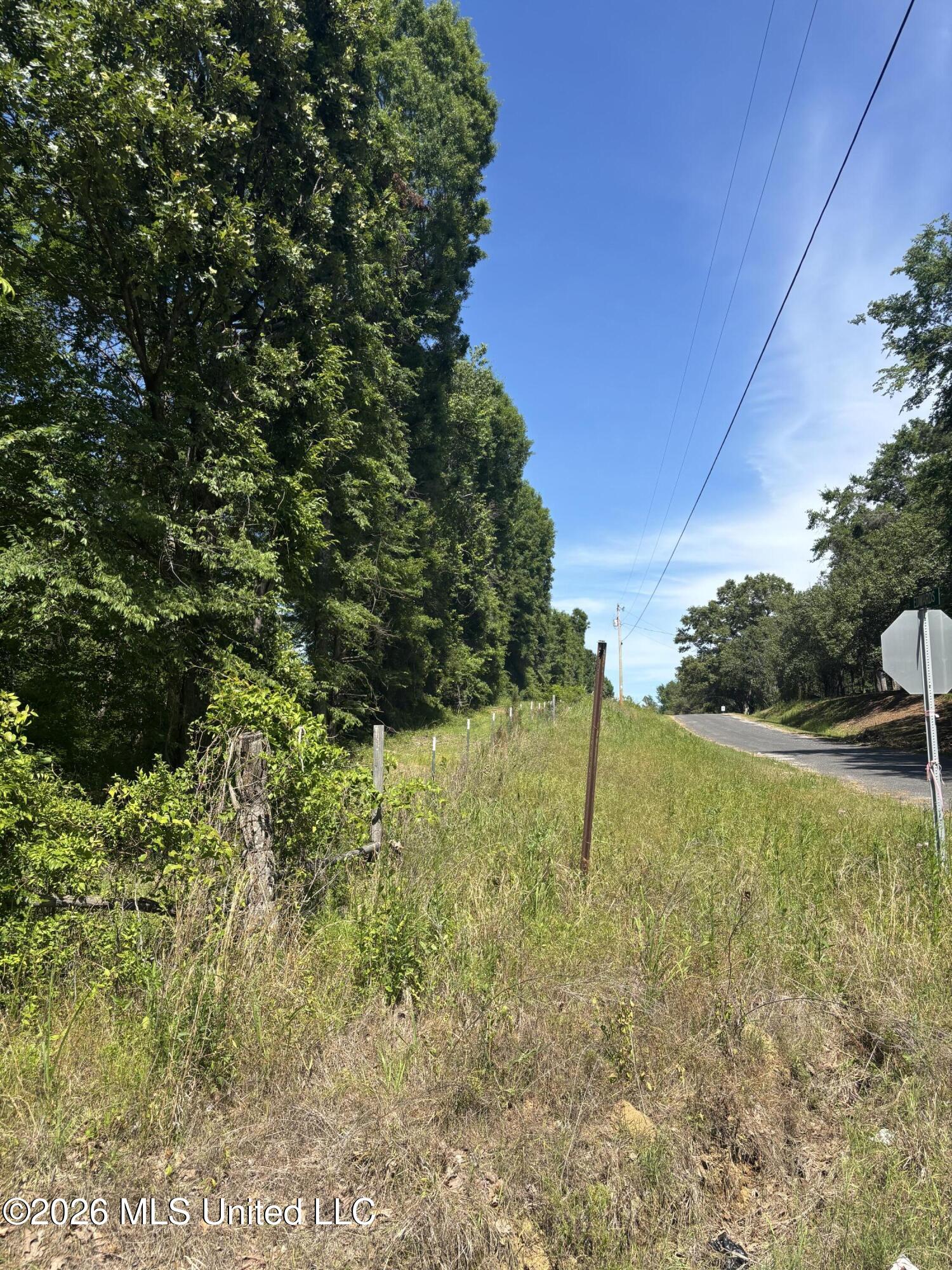 0 Belmont Road Sardis, MS 38666 - Photo 2 of 3 Edwards Frontage