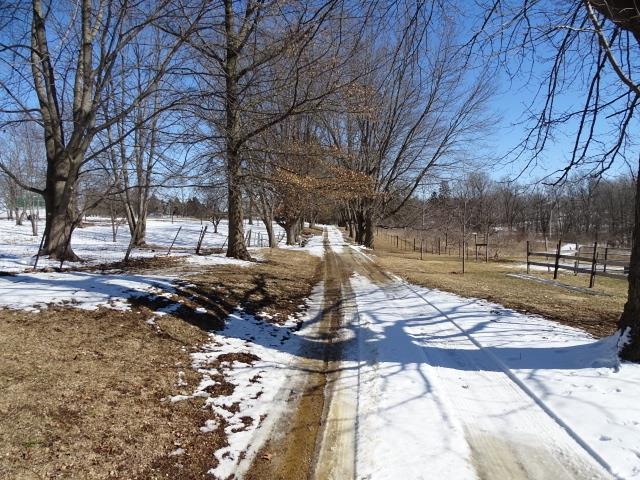 2182 North Flansburg Road Freeport, IL 61032 - Photo 18 of 23 a view of a yard with a tree