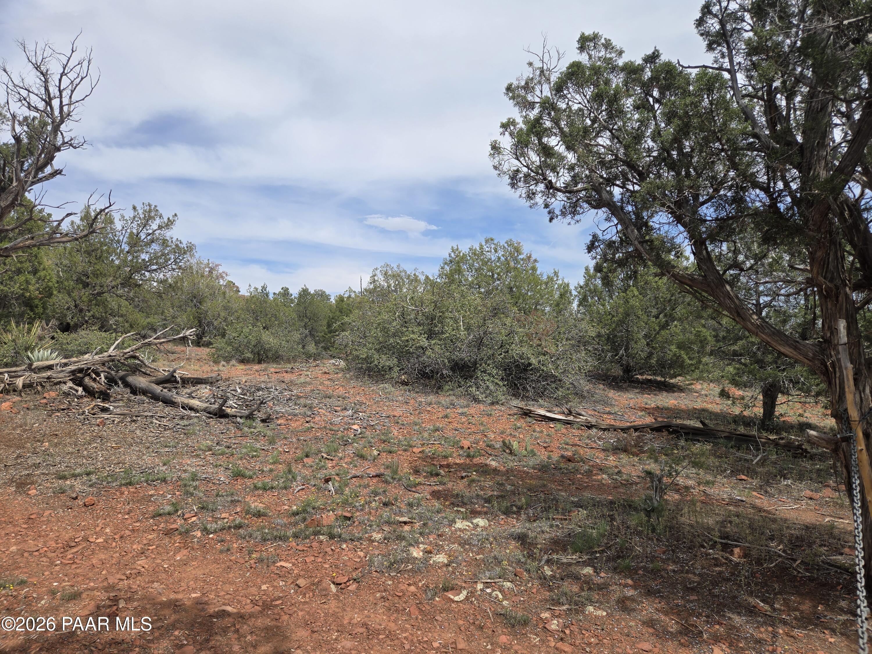 61 Raney Road Ash Fork, AZ 86320 - Photo 12 of 19 a view of a dry yard with trees