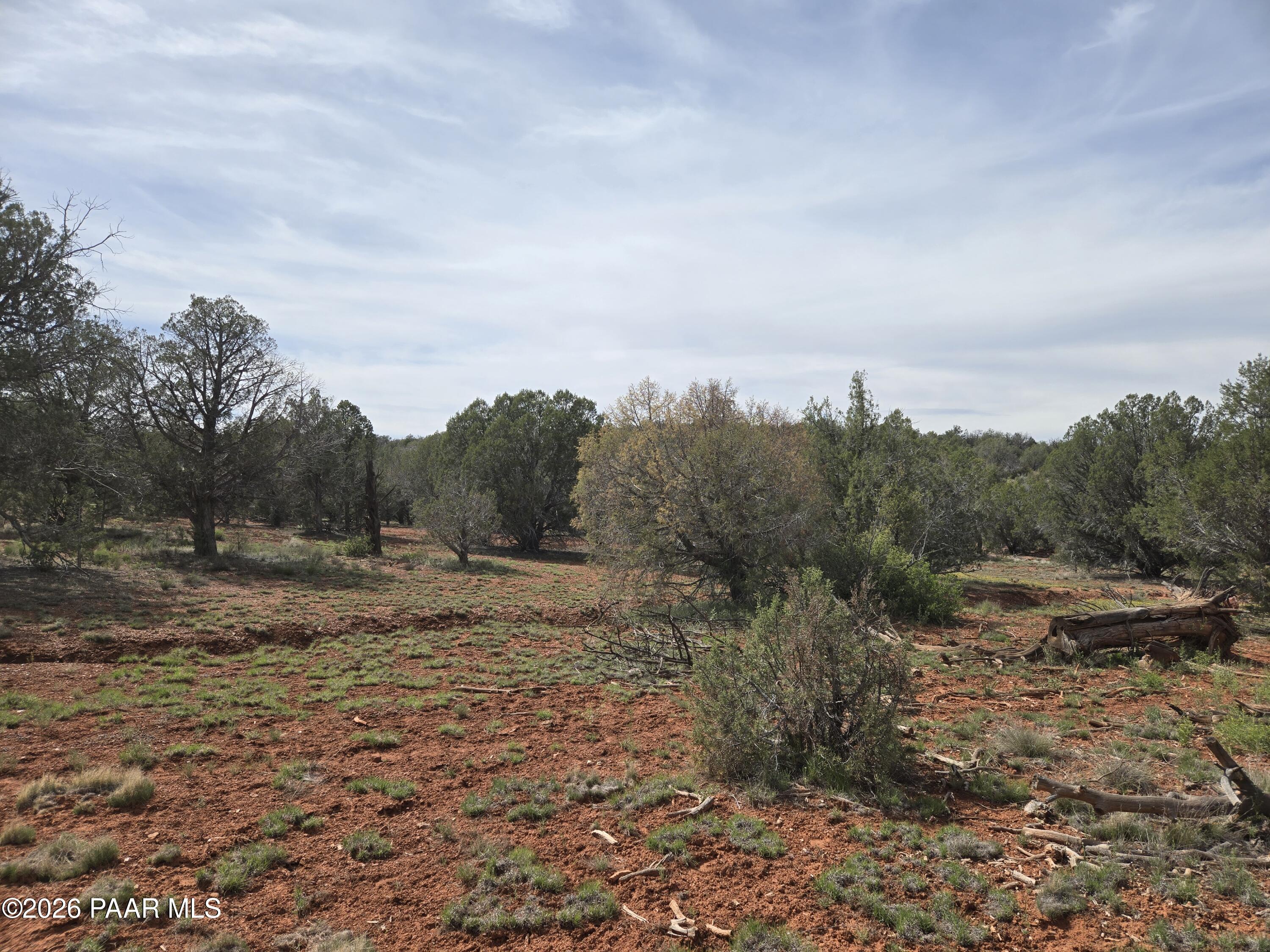 61 Raney Road Ash Fork, AZ 86320 - Photo 14 of 19 a view of a dry yard with trees in the background