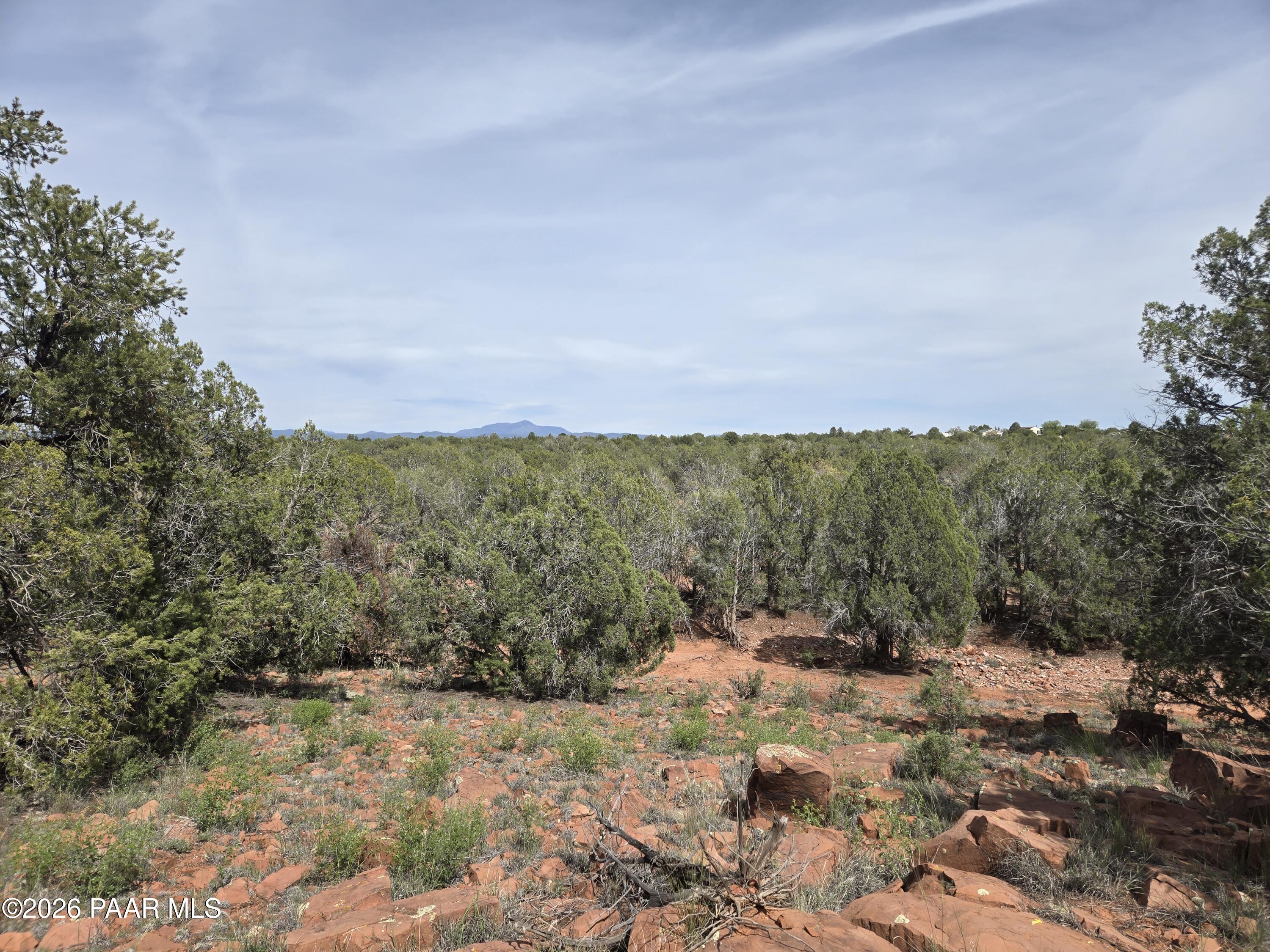 61 Raney Road Ash Fork, AZ 86320 - Photo 15 of 19 a view of a yard with a tree