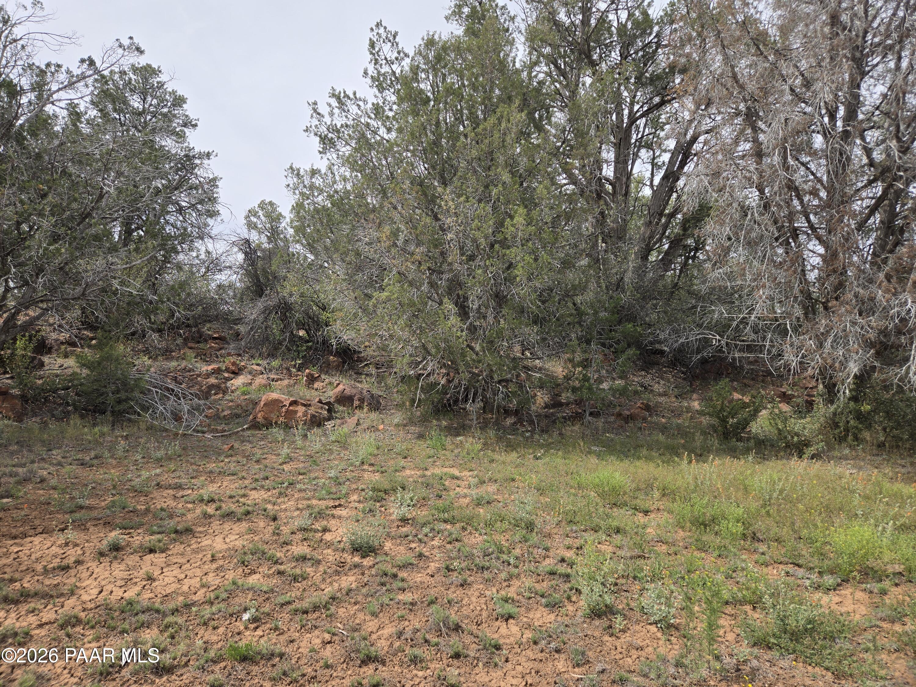 61 Raney Road Ash Fork, AZ 86320 - Photo 17 of 19 a view of a yard with an outdoor space