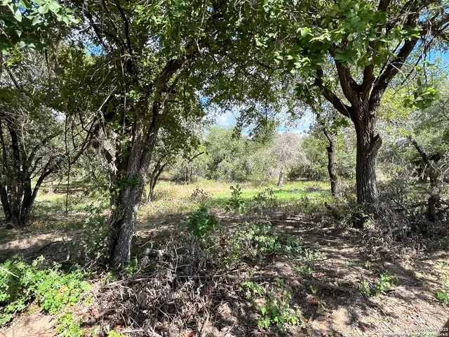 $69,000 | Lot D 497 Cr 124, Floresville, TX 78114