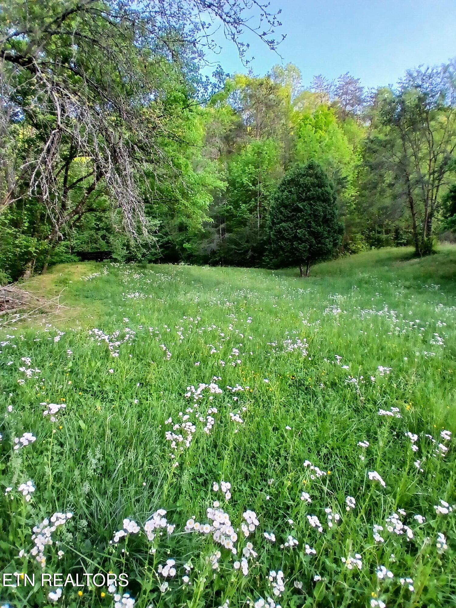 469 Brownlo Road Sneedville, TN 37869 - Photo 50 of 58 20260427_191504