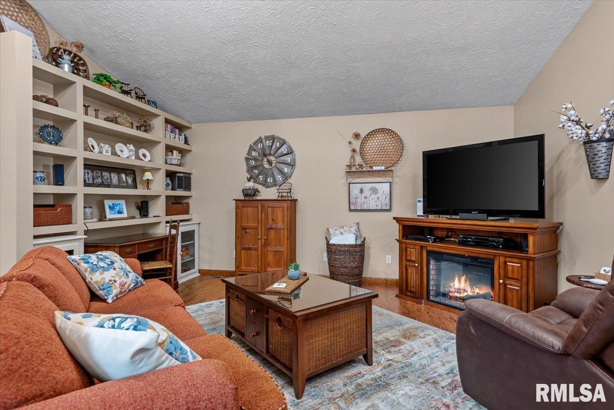 217 East Mill Street Rochester, IL 62563 - Photo 6 of 34 Gallery Image 6